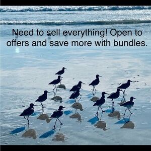 Seaside Bird Reflection Art Print